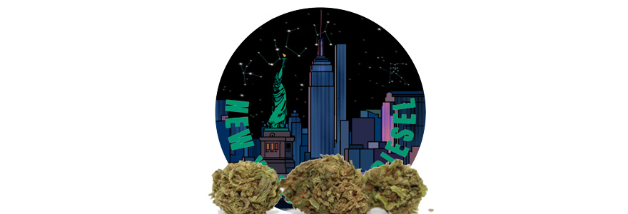 fleur de New York City Diesel CBD